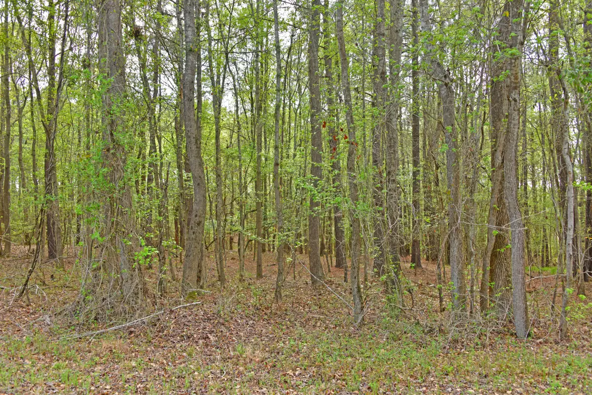 0 Ridgelake(lot 35) Circle, Saint Matthews, SC 29135 - #1