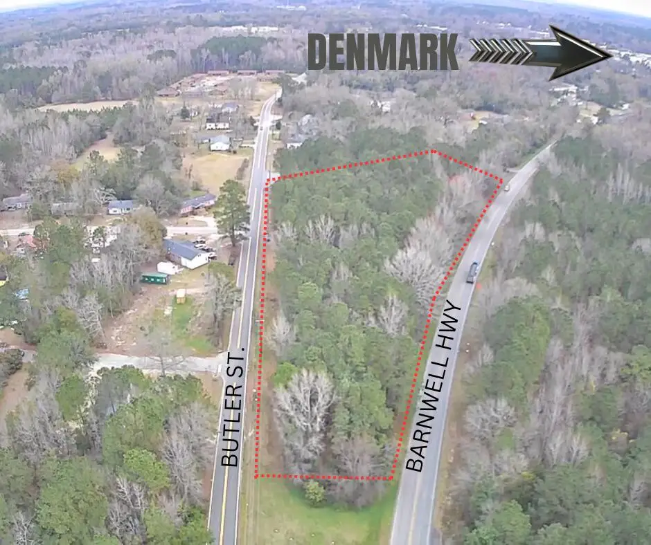 Tbd Barnwell Highway, Denmark, SC 29042 - Image #1