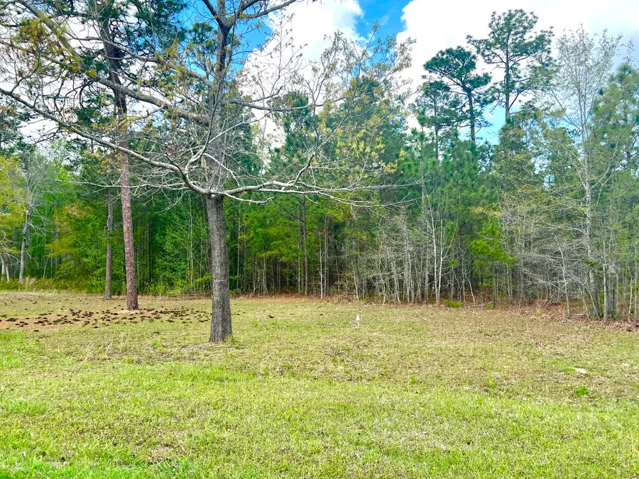 147 Twisted Oak Trail, Elloree, SC 29047 - Image #3