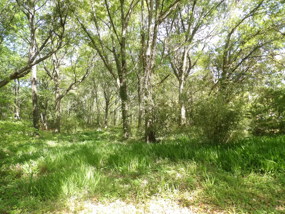 1558 Scott Hill Road, Charleston, SC 29412 - #1