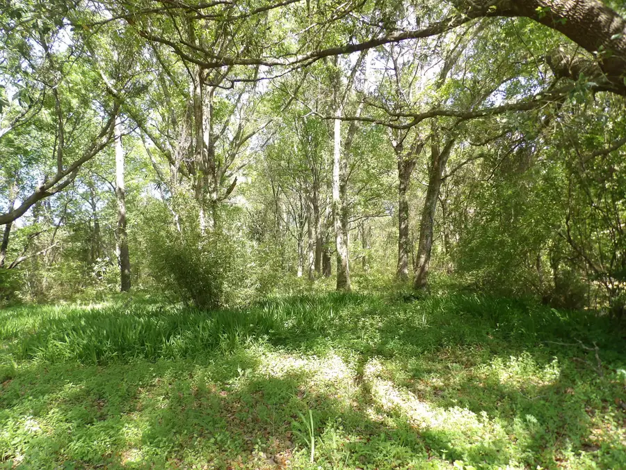 1558 Scott Hill Road, Charleston, SC 29412 - #2
