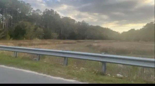 0 Kit Hall Road, McClellanville, SC 29458