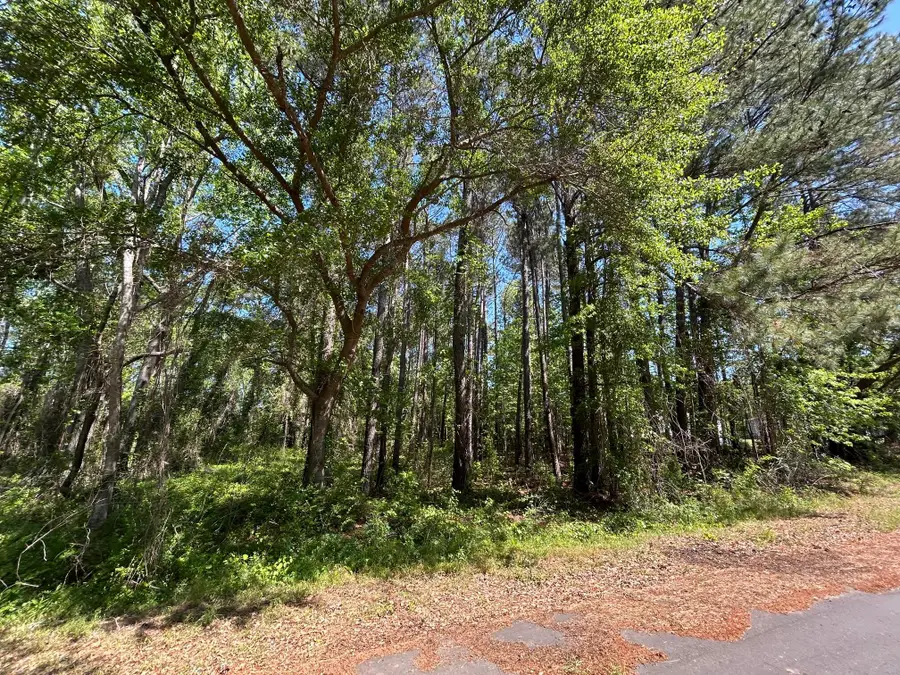 Tbd Dina Montgomery Road, Summerton, SC 29148 - Image #2