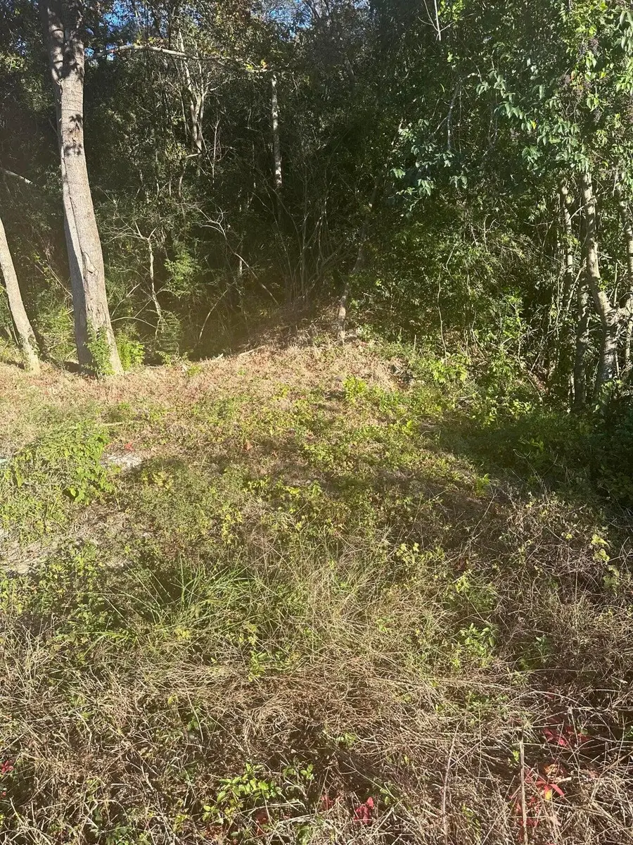 220 N Highway 52, Moncks Corner, SC 29461 - #3