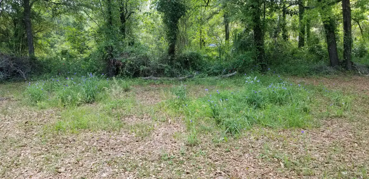 0 Rabb Street, Walterboro, SC 29488 - Image #1