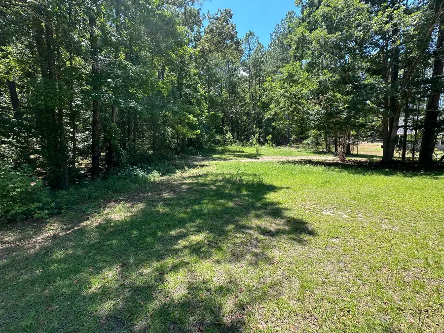 00 Sorin Circle, Elloree, SC 29047 - Image #3