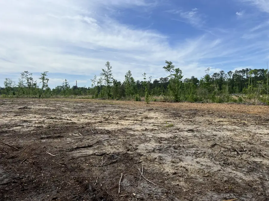 71 Herndon Street #Tract B-6, Walterboro, SC 29488 - Image #2