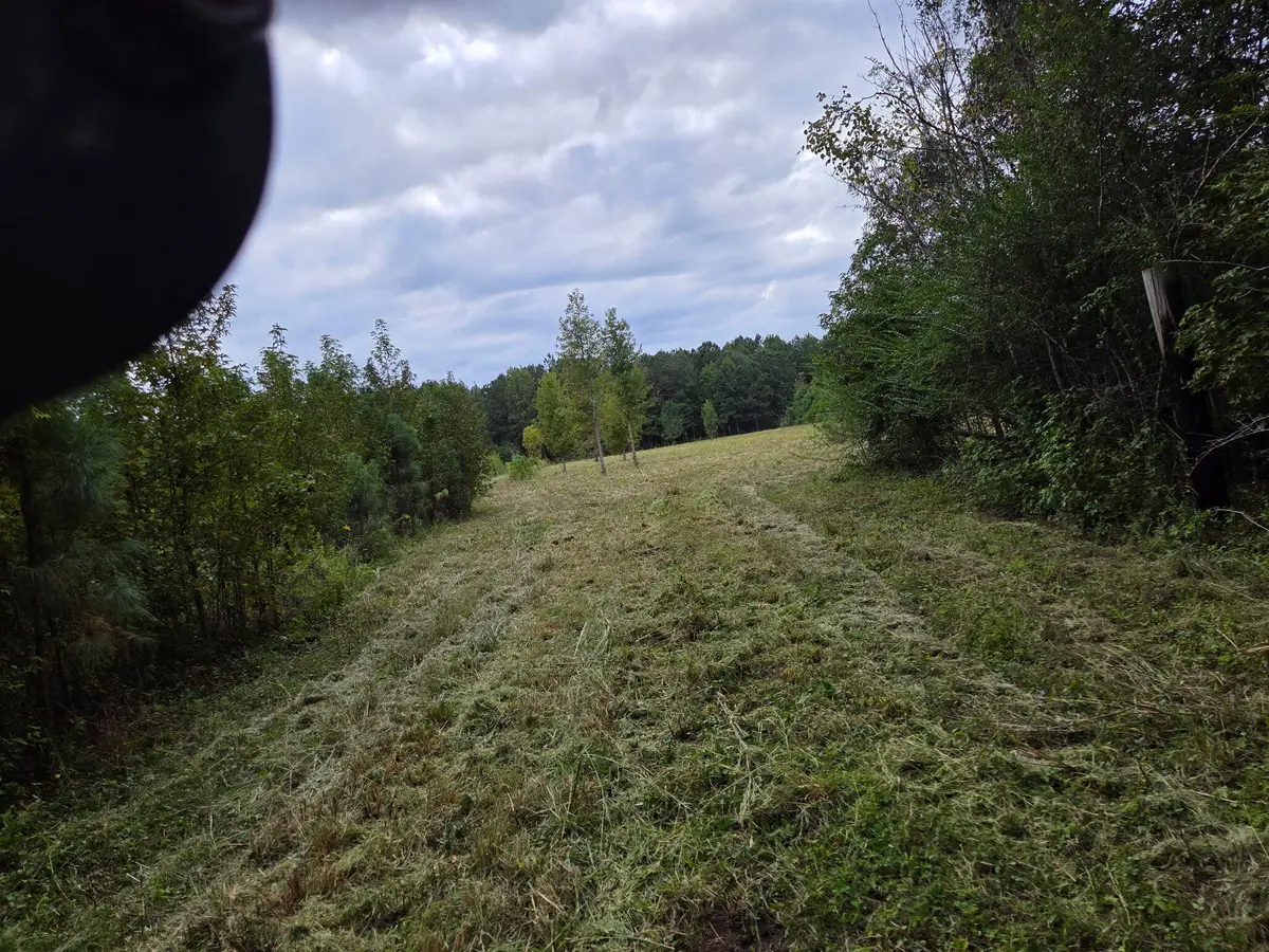 00 Flatwoods Road, Reevesville, SC 29471 - Image #1