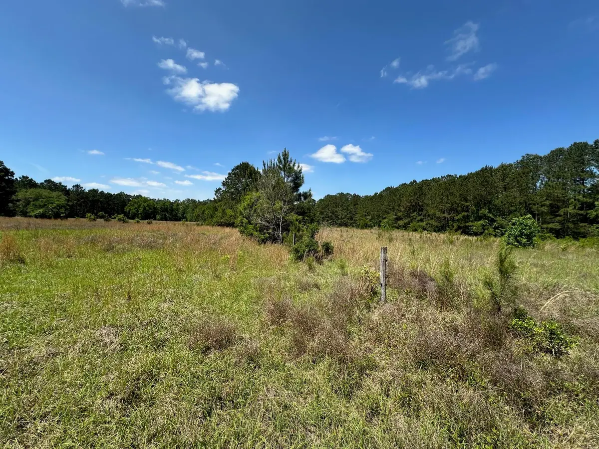 0 Willtown Road, Hollywood, SC 29449 - #1