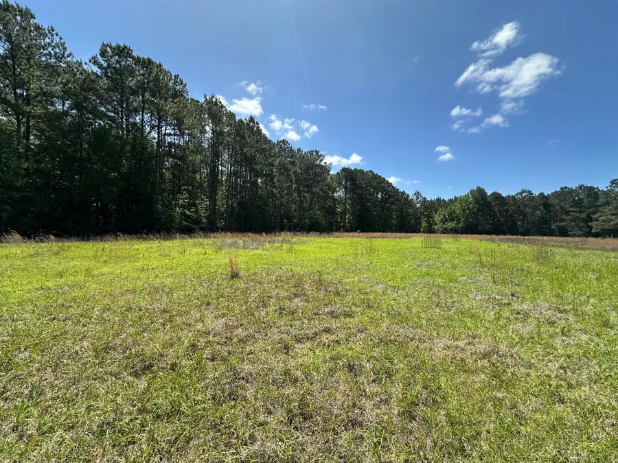 0 Willtown Road, Hollywood, SC 29449 - #2