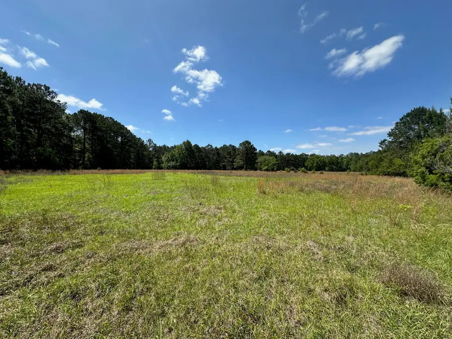 0 Willtown Road, Hollywood, SC 29449 - #3