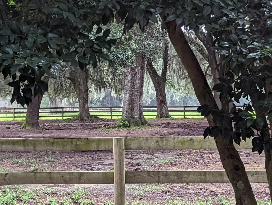 21 Middleton Oaks Road, Charleston, SC 29414 - Image #3