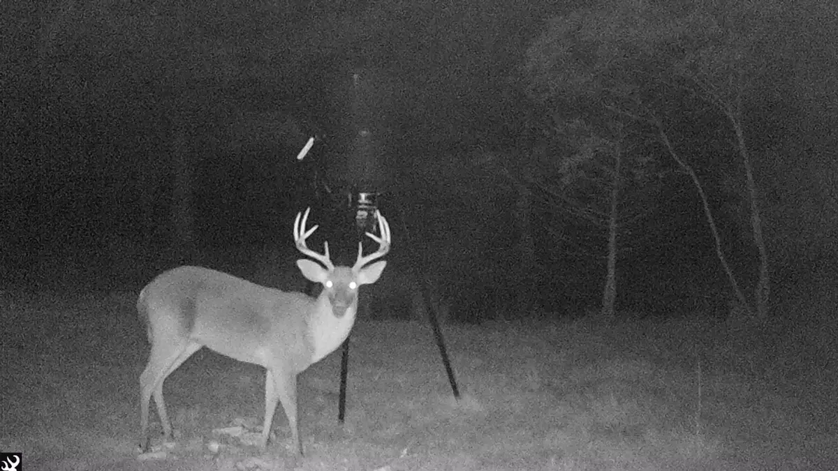 0 Norris Drive, Walterboro, SC 29488 - Image #1