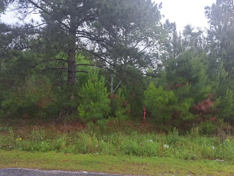 01 Bass/bonner Drive, Santee, SC 29142 - Image #2