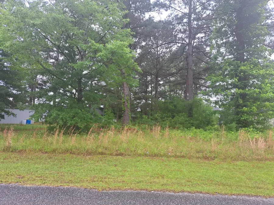 01 Bass/bonner Drive, Santee, SC 29142 - Image #3