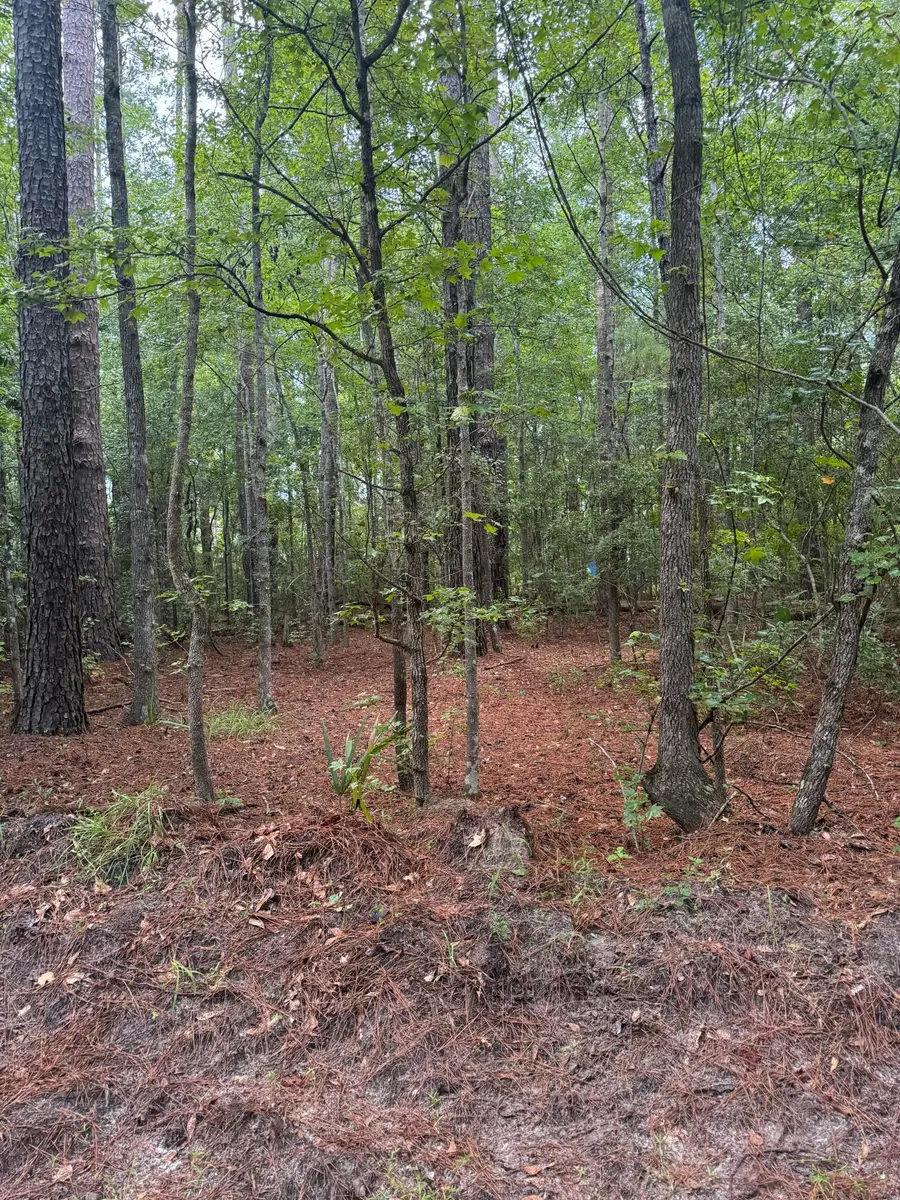 00 Charles Street, Varnville, SC 29944 - Image #2