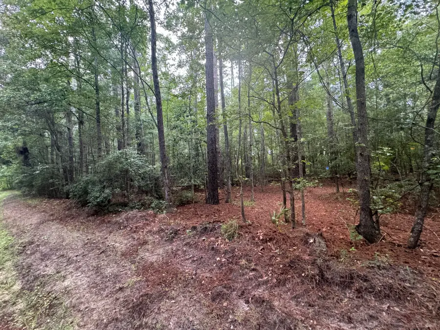 00 Charles Street, Varnville, SC 29944 - Image #3