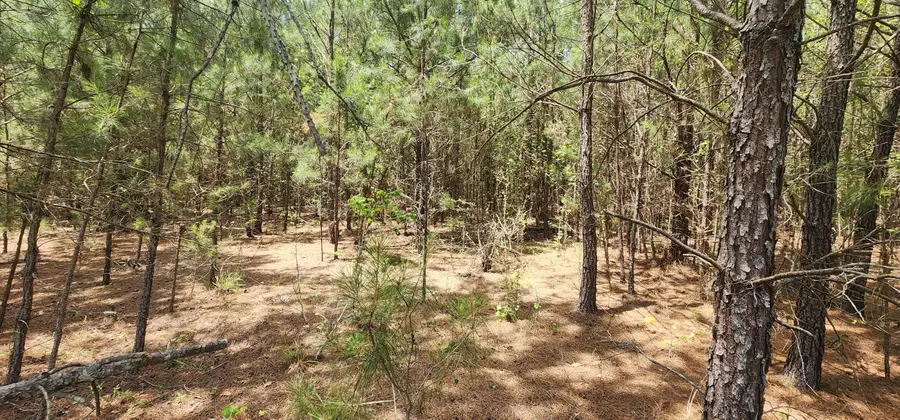 0 Lost Horn Road, Branchville, SC 29432 - #2