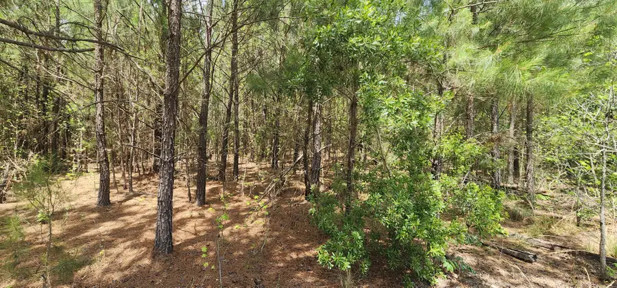 0 Lost Horn Road, Branchville, SC 29432 - #3