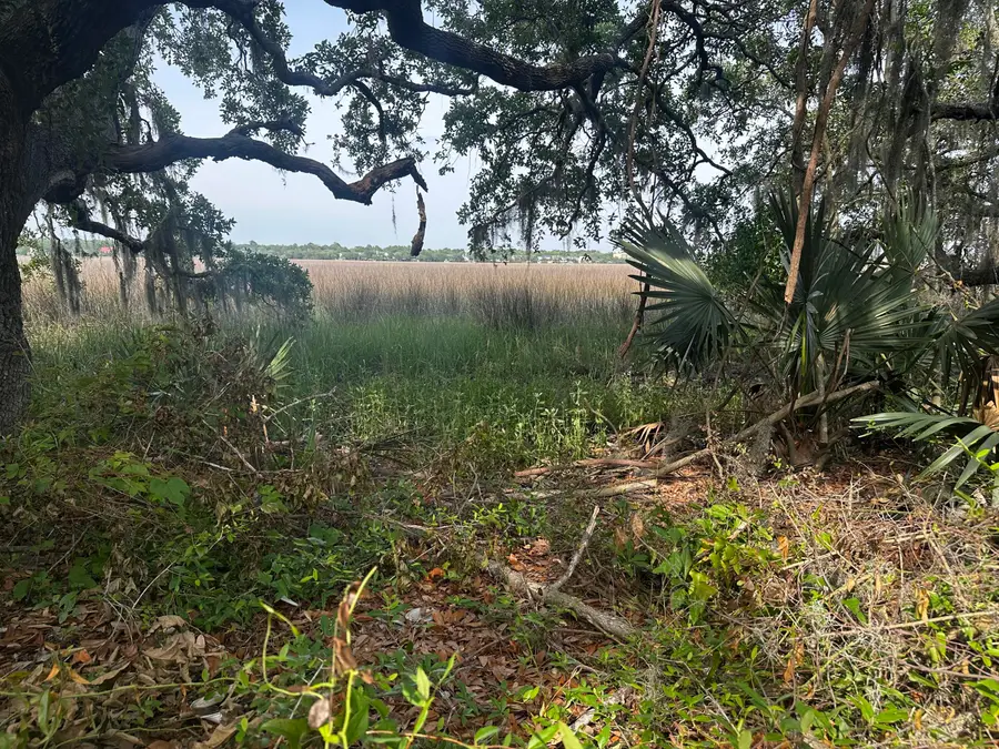 2342 Parsonage Road, Charleston, SC 29414 - Image #2