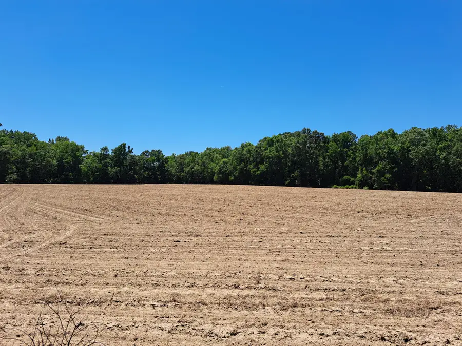 02 Muldoon Drive, Summerton, SC 29148 - Image #2