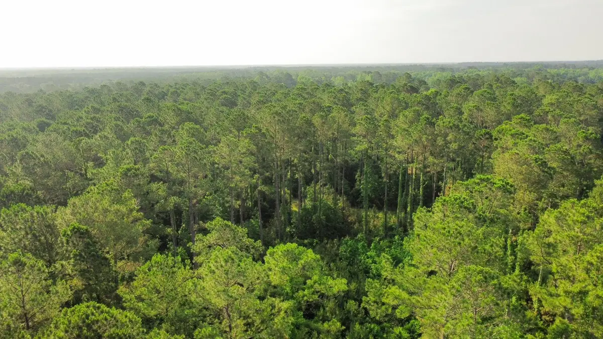 1a Red Oak Road, Cottageville, SC 29435 - Image #1