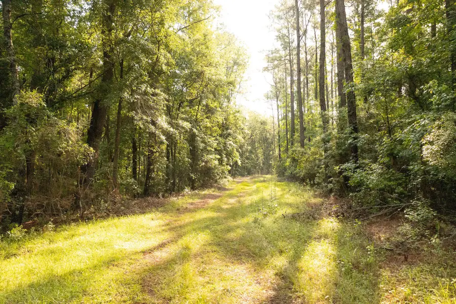 1a Red Oak Road, Cottageville, SC 29435 - Image #2