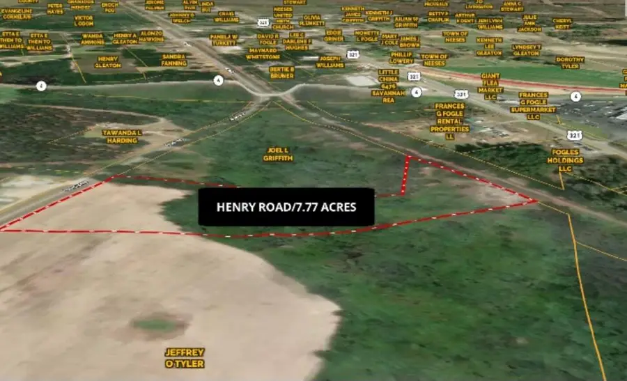 0 Henry Road, Neeses, SC 29107 - #2