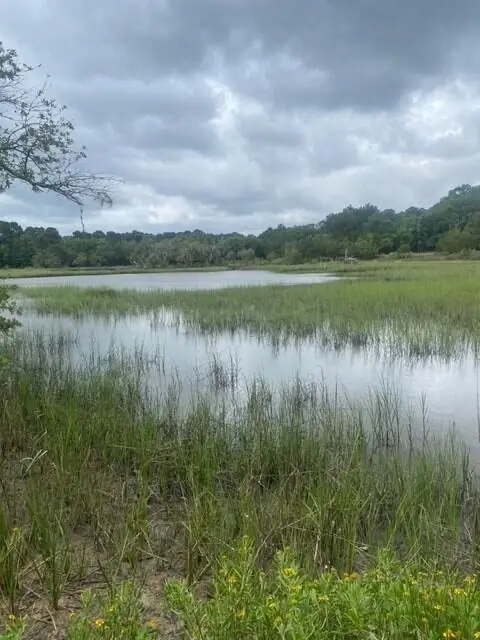 4141 Sc-174, Hollywood, SC 29449