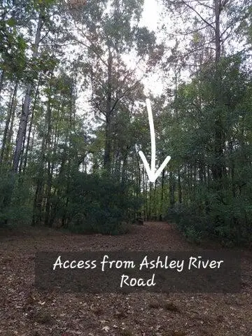00 Ashley River Road, Summerville, SC 29485 - #2