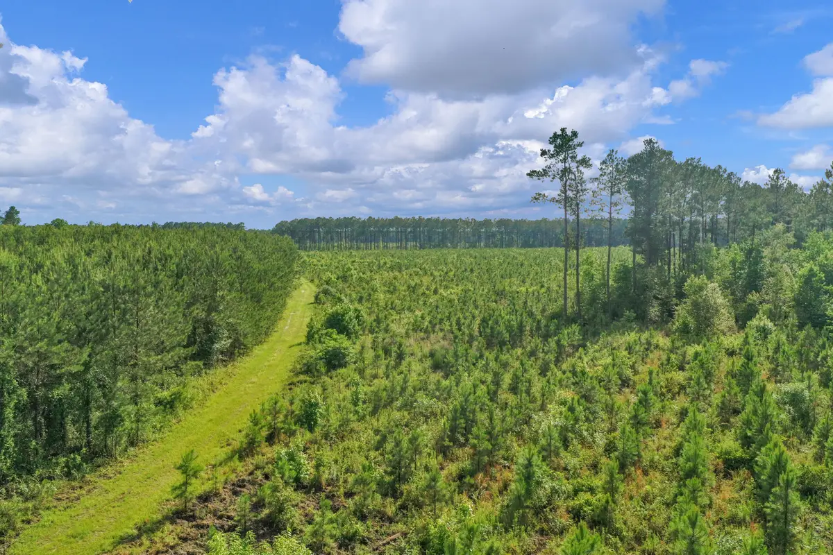 0000 N Brewington Road #3, Manning, SC 29102 - Image #1