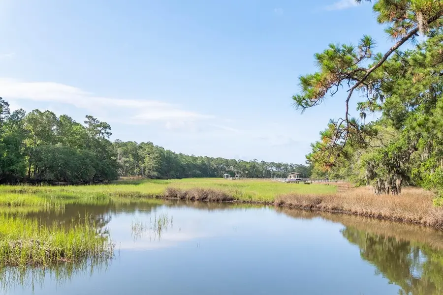 1044 Bradbury Lane, Charleston, SC 29492 - Image #2