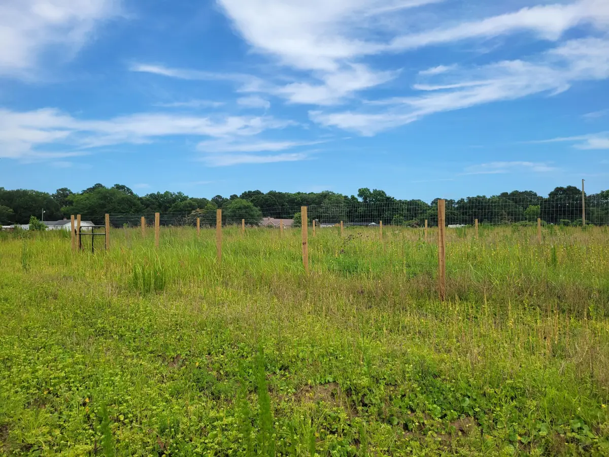 4798 Reggie Road, Johns Island, SC 29455 - Image #1