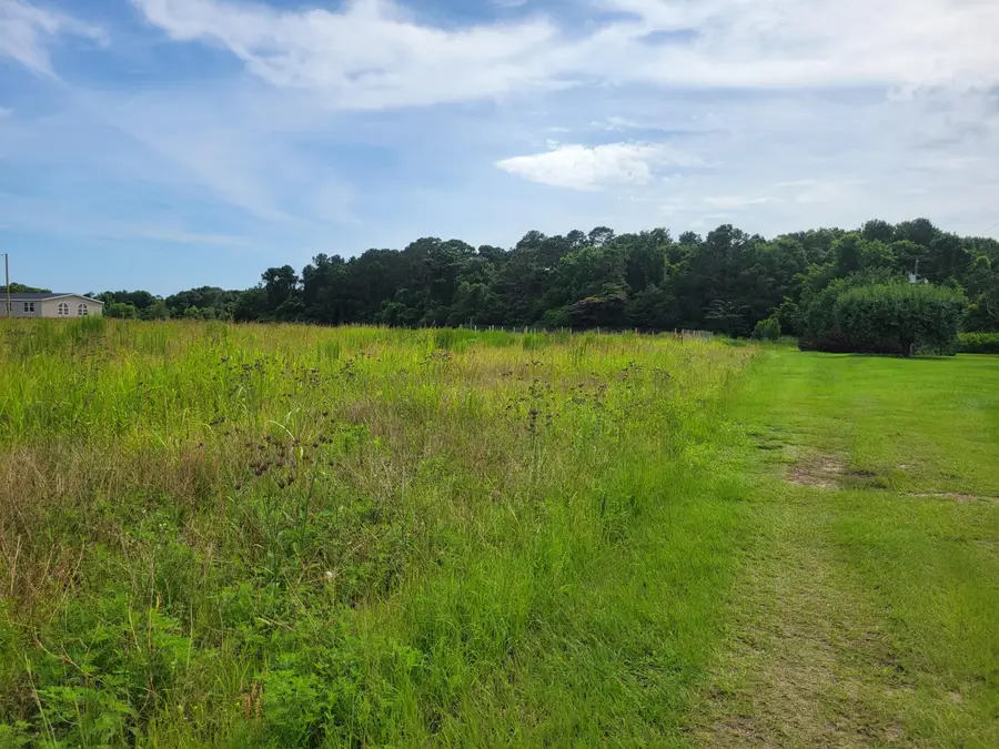 4798 Reggie Road, Johns Island, SC 29455 - Image #3