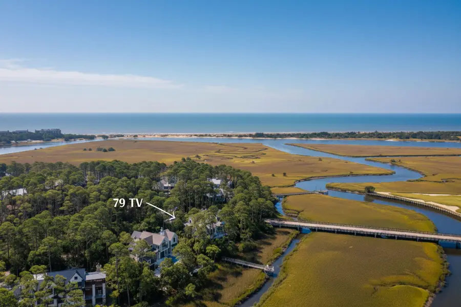 79 Trailing Vine Way, Kiawah Island, SC 29455 - Image #2