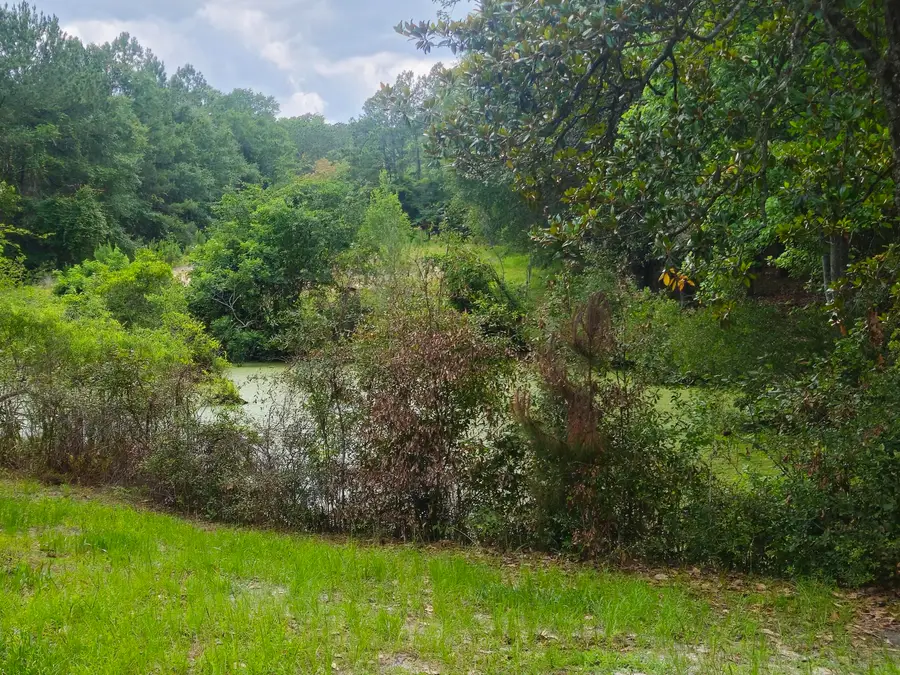 126 Rattlensnake Trail, Walterboro, SC 29488 - Image #3