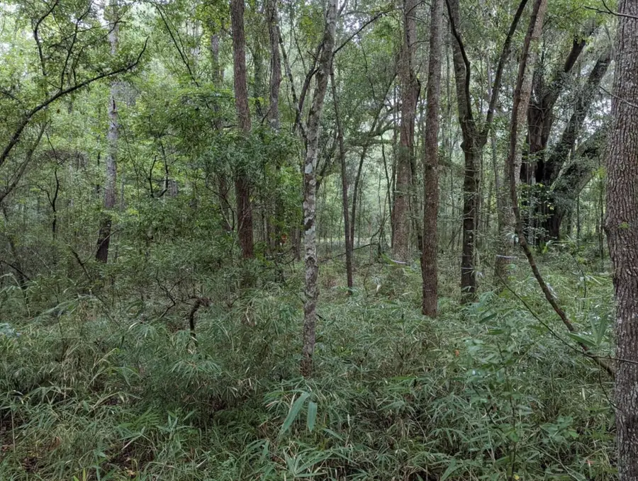 33 Middleton Oaks Road, Charleston, SC 29414 - Image #3