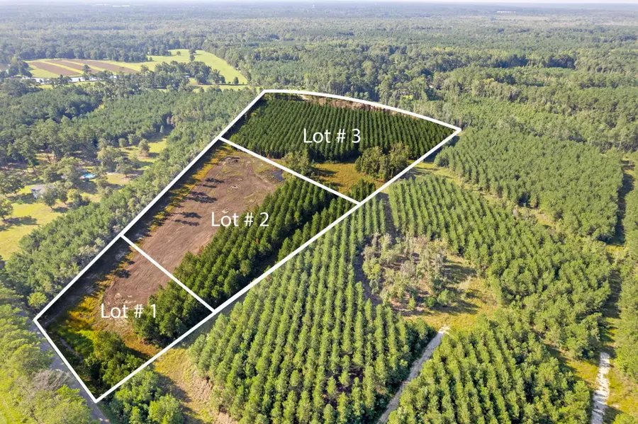 4 Rudd Road, Ridgeville, SC 29472 - Image #2