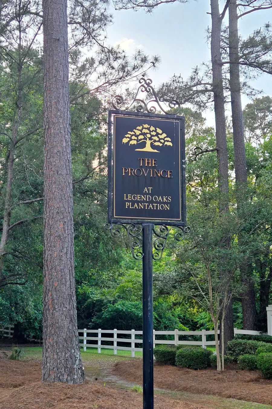 116 Marshside Drive, Summerville, SC 29485 - Image #3