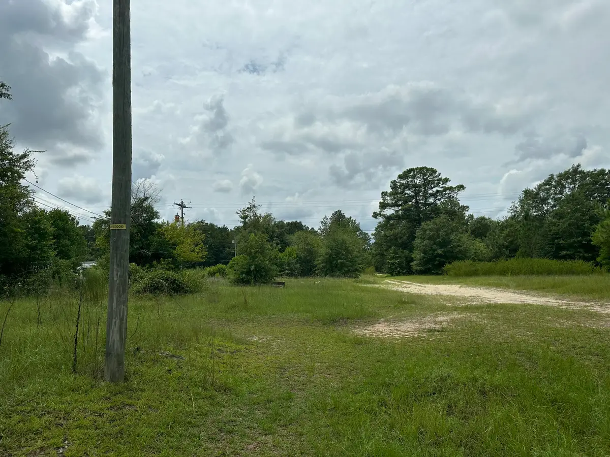 230 Bald Eagle Court, Warrenville, SC 29851 - Image #1