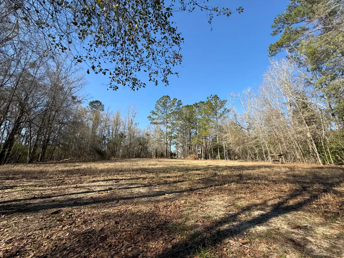 0000 Healing Springs Road, Blackville, SC 29817 - Image #1