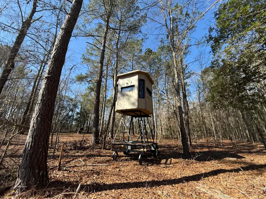 0000 Healing Springs Road, Blackville, SC 29817 - Image #2