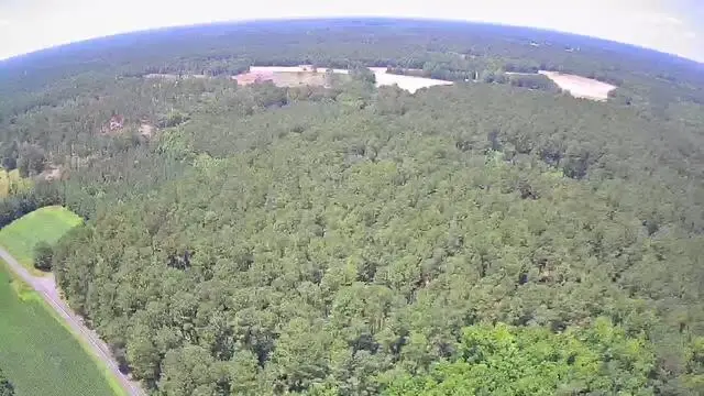 0 Nursery Road, Reevesville, SC 29471 - Image #2