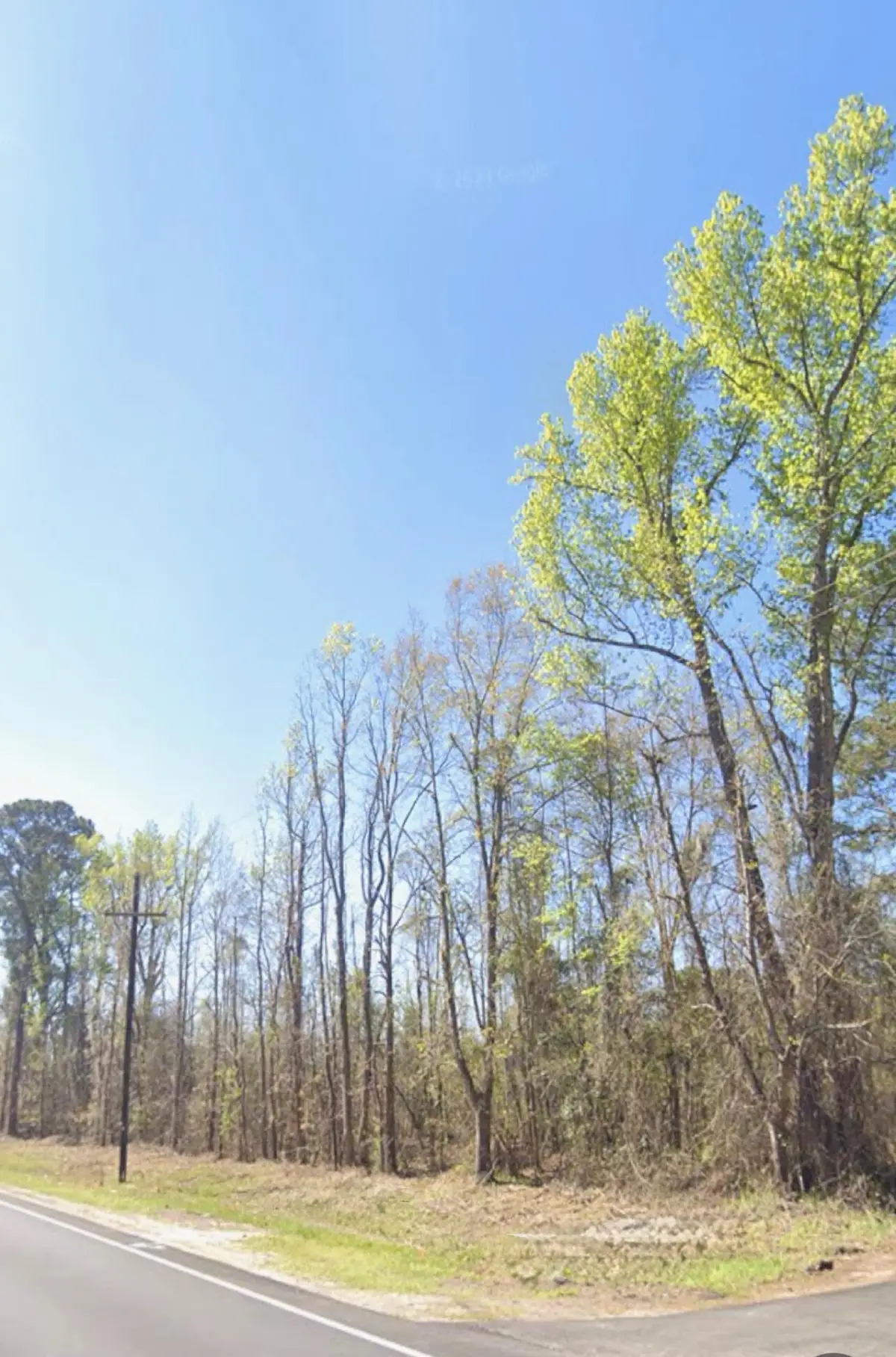 Address Withheld By Seller, Bamberg, SC 29003 - Image #1