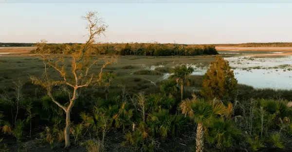 1124 Ship Builder Street, Charleston, SC 29492