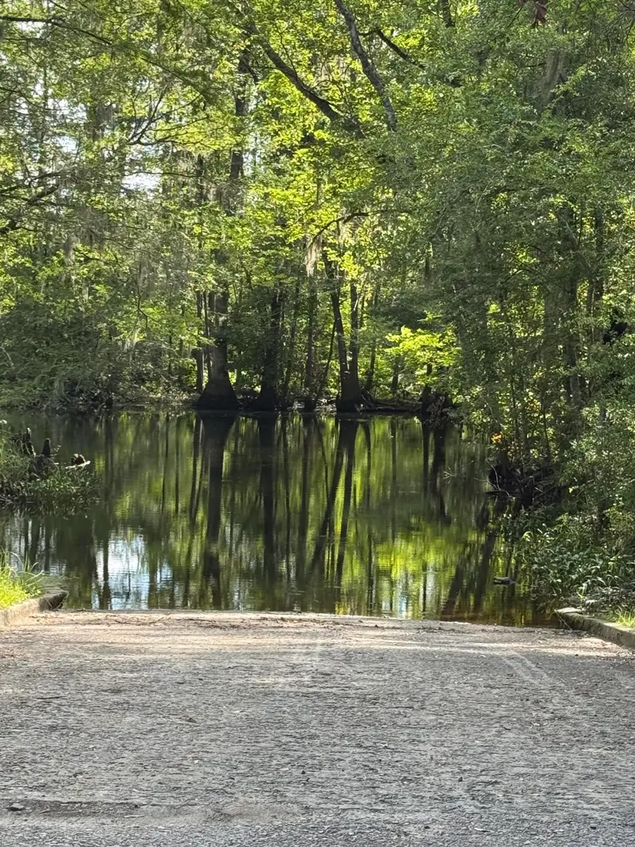 485 Corner Lake Road, Grays, SC 29916 - Image #3