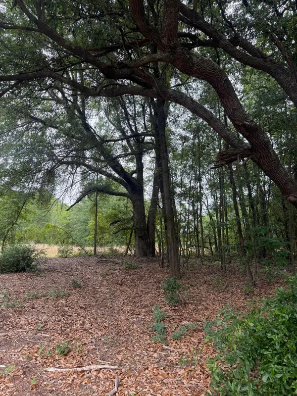 Qaf 2 Rainbow Drive #Qaf 2, Wagener, SC 29164