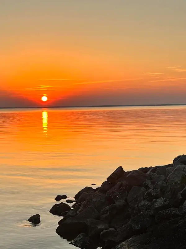 164 Albacore Road, Bonneau, SC 29431