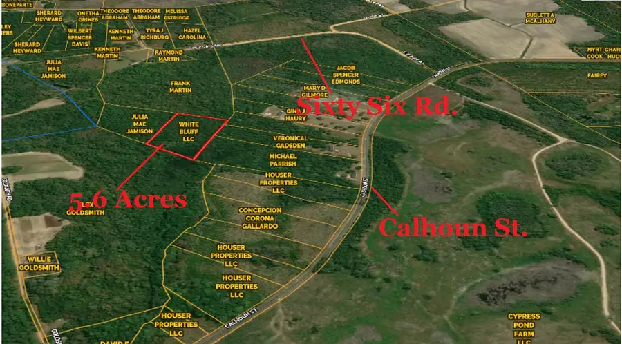 0 Calhoun Street, Branchville, SC 29432 - Image #3