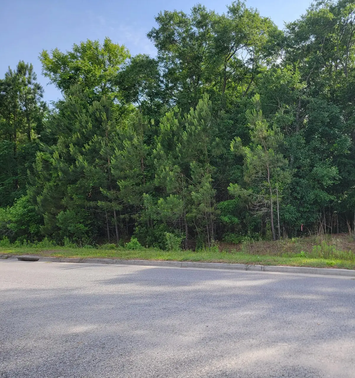 0000 Hamlin Road, Mount Pleasant, SC 29466 - #1